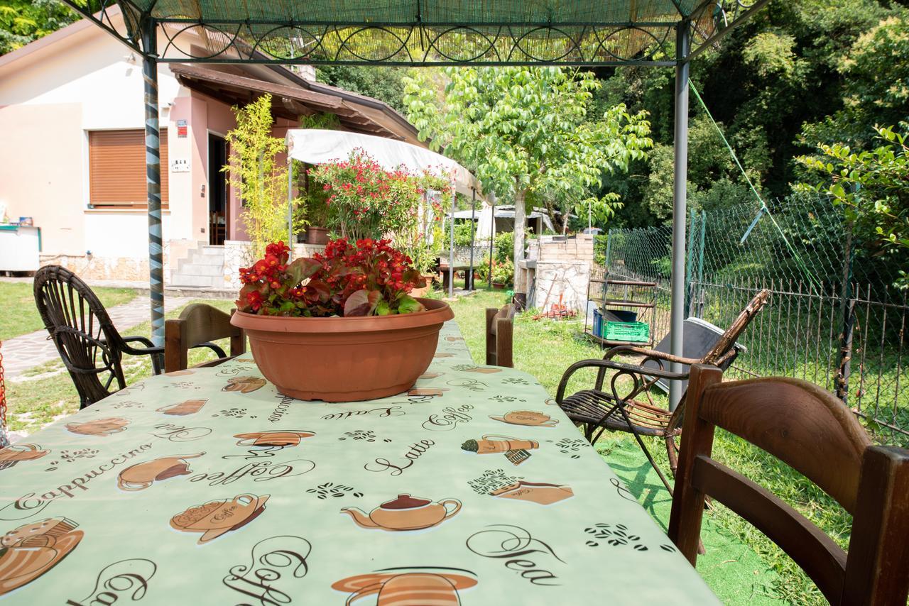 Il Boschetto Appartement Torri Del Benaco Buitenkant foto