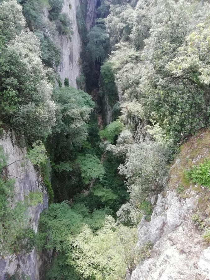 Il Boschetto Appartement Torri Del Benaco Buitenkant foto